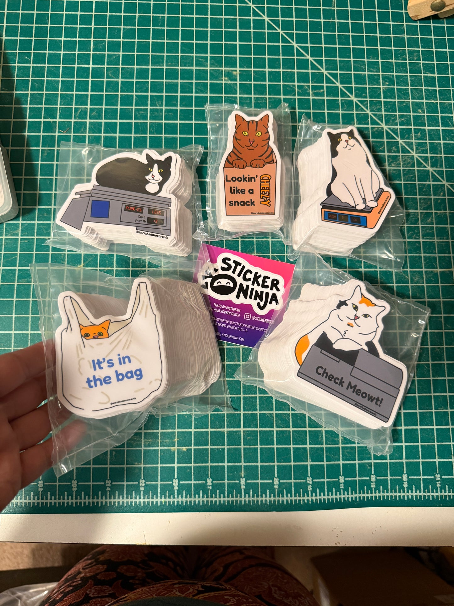 Bodega Buddies Stickers